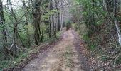 Trail Walking Beuste - Forêt de Beuste et de Boeil-Bezing - Photo 4