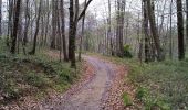 Trail Walking Beuste - Forêt de Beuste et de Boeil-Bezing - Photo 2