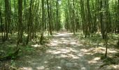 Randonnée Course à pied Chilleurs-aux-Bois - Étang de la vallée du Diable - Forêt d'Orléans - Photo 1
