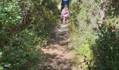 Trail Walking Rochefort-du-Gard - Autour des Eynavay et du Sanctuaire  - Photo 14