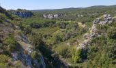 Randonnée Marche Rochefort-du-Gard - Autour des Eynavay et du Sanctuaire  - Photo 6