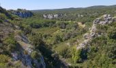 Tocht Stappen Rochefort-du-Gard - Autour des Eynavay et du Sanctuaire  - Photo 6