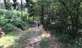 Trail Walking Laifour - Laifour 21,7 km - Photo 7