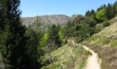 Trail Walking Orbey - Les Hautes Huttes - Orbey Lac Noir - Photo 4