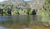 Tour Wandern Urbeis - Les Hautes Huttes - Orbey Lac Noir - Photo 3