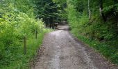 Trail Walking Saint-Jean-d'Aulps - La Grande Terche - Le Biot - Le Sey - La Grande Terche - Photo 3