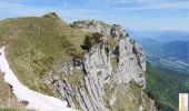 Tocht Stappen Saint-Pierre-de-Chartreuse - Le Dôme de Bellefont par le Pas de Rocheplane - Photo 1