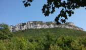 Randonnée Marche Saou - Roche colombe pas de lechelette - Photo 2