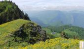 Trail Walking Montaud - Le Bec de l'Orient depuis le Col de Montaud - Photo 1