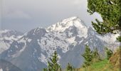 Randonnée Marche Barèges - La Montagne fleurie - Photo 2