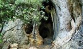 Tocht Stappen Bonnieux - Forêt de Cêdre - Roque des Bancs - Baume Rousse - Grottes de Font Scure et des Vaudois - Le Portalas  - Photo 1