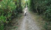 Trail Walking La Trinité-sur-Mer - Men Du 05-09-18 - Photo 1