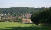 Tour Wandern Gif-sur-Yvette - Gif sur Yvette Chevreuse - Photo 1