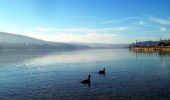 Tour Mountainbike Saint-Point-Lac - Tour du Lac de Saint Point - Photo 1