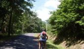 Trail Mountain bike Saint-Laurent-de-Cerdans - Vallespir St laurent de Cerdans - Photo 6
