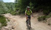 Trail Mountain bike Saint-Laurent-de-Cerdans - Vallespir St laurent de Cerdans - Photo 2
