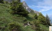 Trail Walking Sarcenas - Chamechaude, traversée Sud-Nord (Tentative) - Photo 1