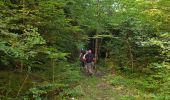 Trail Walking Salvezines - La forêt d  en Malo depuis le Caunil (11) - Photo 6