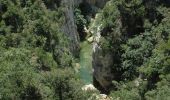 Tocht Stappen Camps-sur-l'Agly - Gorges de Galamus par Nissol - Photo 2
