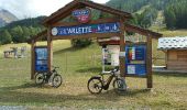Tour Mountainbike Villarodin-Bourget - Le Mélèzet la Norma - Photo 2