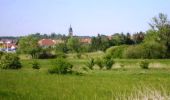 Trail Mountain bike Puttelange-aux-Lacs - Randonnée au Pays des Lacs - Puttelange aux Lacs - Photo 2