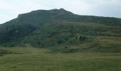 Excursión Senderismo Laveissière - Le Puy de Seycheuse - Photo 2