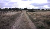 Randonnée Course à pied Roquesérière - Autour de Roquesérières par le ruisseau de la Mouline d'Azas - Photo 2