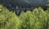 Trail Walking Soultzeren - lac d'un forlet lac vert - Photo 6