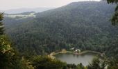 Randonnée Marche Oberbruck - Tête des Perches (1222m) et Vogelstein (1164m) en boucle par les lacs du Neuweiher et des Perches - Photo 4
