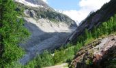 Excursión Senderismo Chamonix-Mont-Blanc - Circuit de la Mer de Glace - Chamonix Mont Blanc - Photo 4