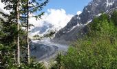 Tour Wandern Chamonix-Mont-Blanc - Circuit de la Mer de Glace - Chamonix Mont Blanc - Photo 1