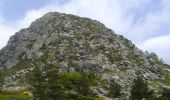 Tour Wandern Saint-Martial - Mont Gerbier de Jonc - Photo 1