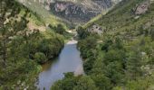 Randonnée Marche Gorges du Tarn Causses - Tour du Causse Méjean - Etape 1 - Photo 3