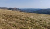 Trail Walking Val-d'Aigoual - Tour du Causse Méjean - Etape 6 - Photo 3