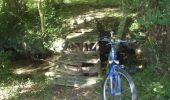 Trail Mountain bike Ablon - Rando d'Ablon - Normandie - Photo 6