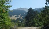 Trail Walking Beaumont-du-Ventoux - Sentier de découverte au Mont Serein - Photo 2