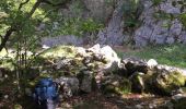 Excursión Senderismo Chaux-des-Crotenay - pont de la chaux- Foncine RÉEL - Photo 1