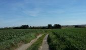 Tour Wandern Villers-la-Ville - Villers-la-Ville - Blanmont 09  GRP 127 11 09 2018 - Photo 2