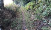 Trail Walking Guipel - 12.09.2018 - ST MEDARD ouest et est - Photo 20
