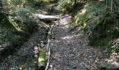 Trail Walking Guipel - 12.09.2018 - ST MEDARD ouest et est - Photo 16