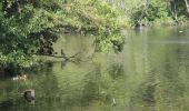 Randonnée Marche Cernay-la-Ville - Parc de l'Abbaye Cernay - Photo 1