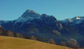 Tocht Stappen Bernex - La Dent d'Oche - Les 4 Monts du Chablais - jour 1 - Photo 2
