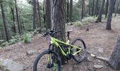 Trail Mountain bike Oberbronn - oberbroon  - Photo 1