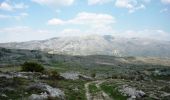 Tocht Mountainbike Le Bar-sur-Loup - Les Gorges du Loup et le Plateau de Calern - Photo 1