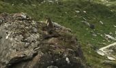 Randonnée Marche Pralognan-la-Vanoise - Randonnée du col de la Vanoise - Photo 5