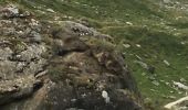 Excursión Senderismo Pralognan-la-Vanoise - Randonnée du col de la Vanoise - Photo 4