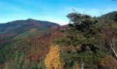 Percorso Mountainbike Niederhaslach - Rocher Pfaffenlapp - Niederhaslach - Photo 4