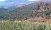 Tour Mountainbike Niederhaslach - Rocher Pfaffenlapp - Niederhaslach - Photo 2