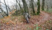 Tocht Mountainbike Hauteroche - Centre VTT FFC Premier Plateau, entre Lacs et Vignobles - Le tour de la Reculée - Circuit n°14 - Photo 4