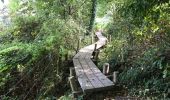 Trail Walking Flobecq - bois de la louviere Brakel 10,7 km - Photo 6